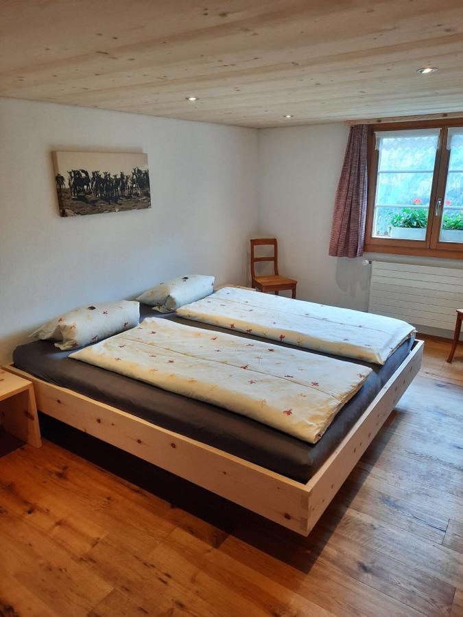Hotel Berggasthaus Gitschenen