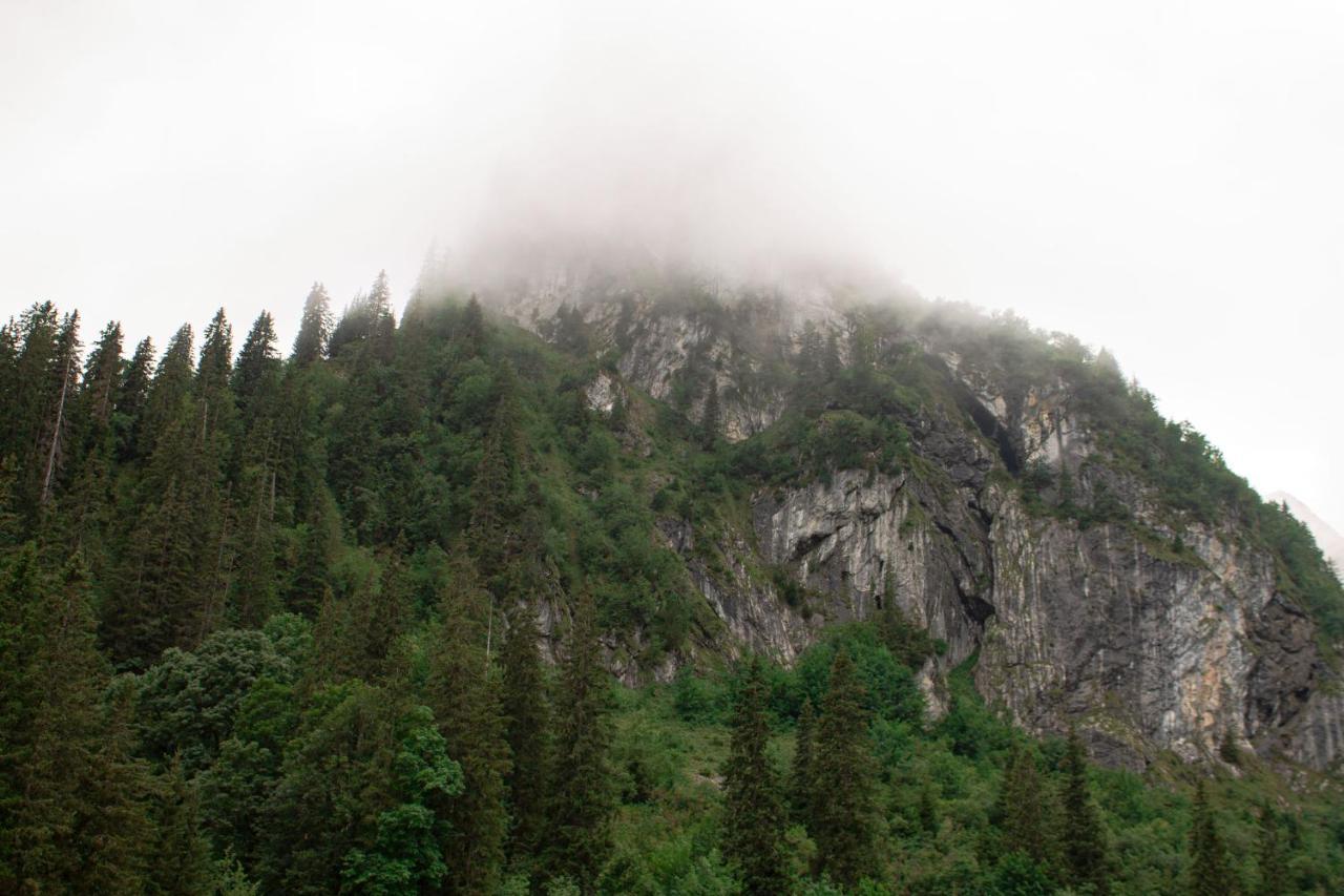 Berggasthaus Gitschenen Hotel