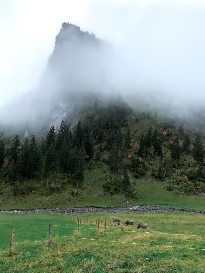 Berggasthaus Gitschenen