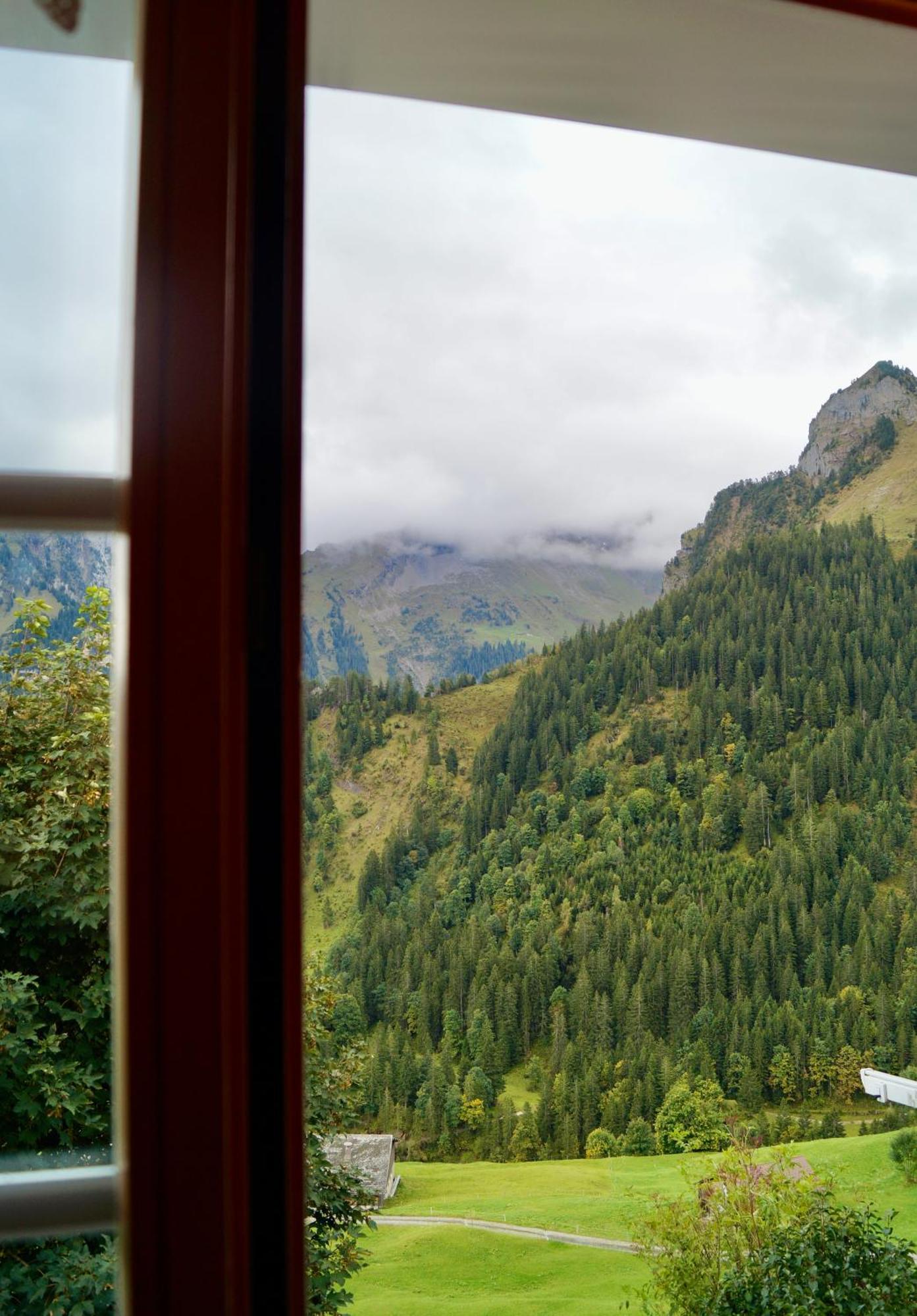 Hotel Berggasthaus Gitschenen
